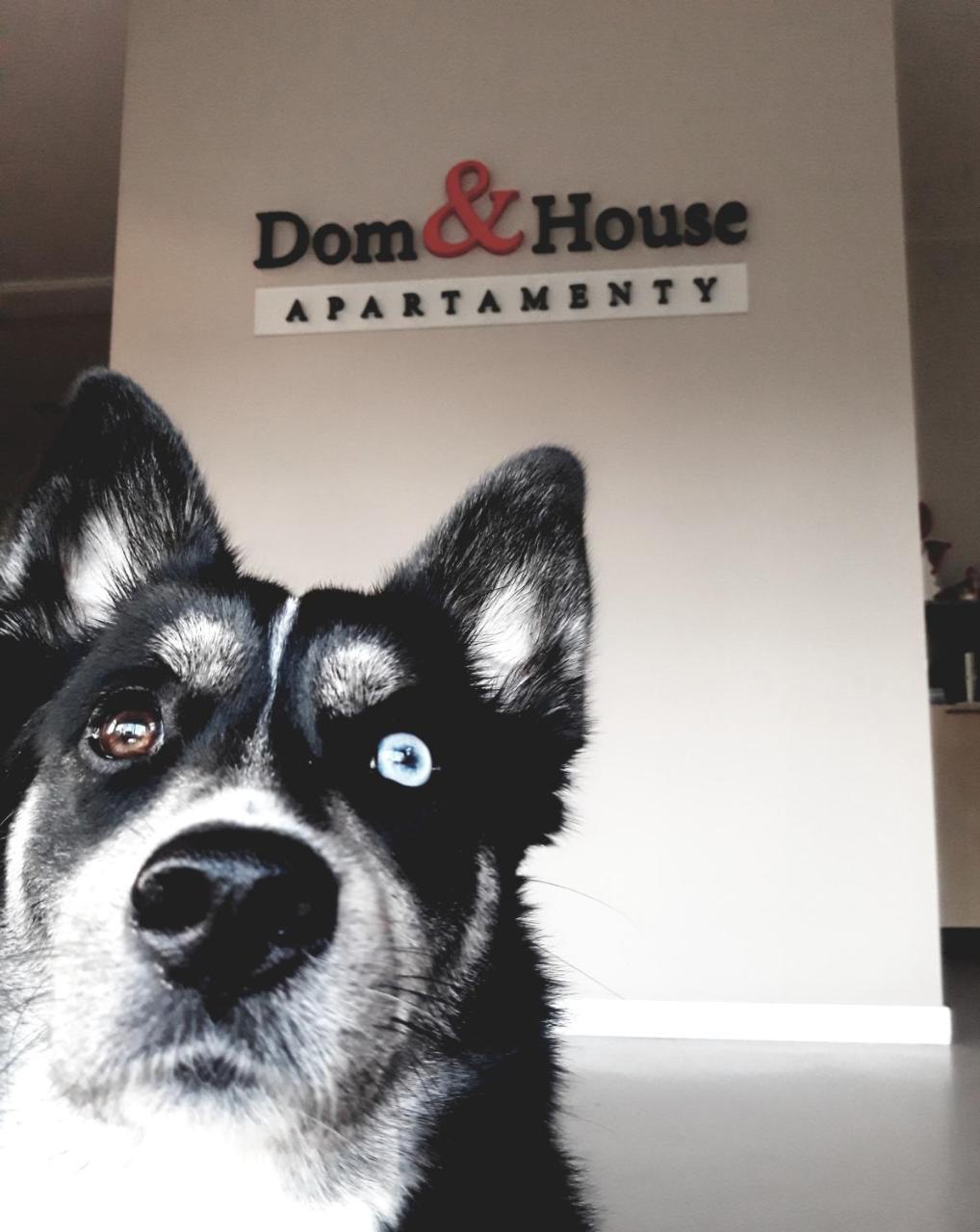 Dom & House - Apartments Waterlane Island Danzig Exterior foto